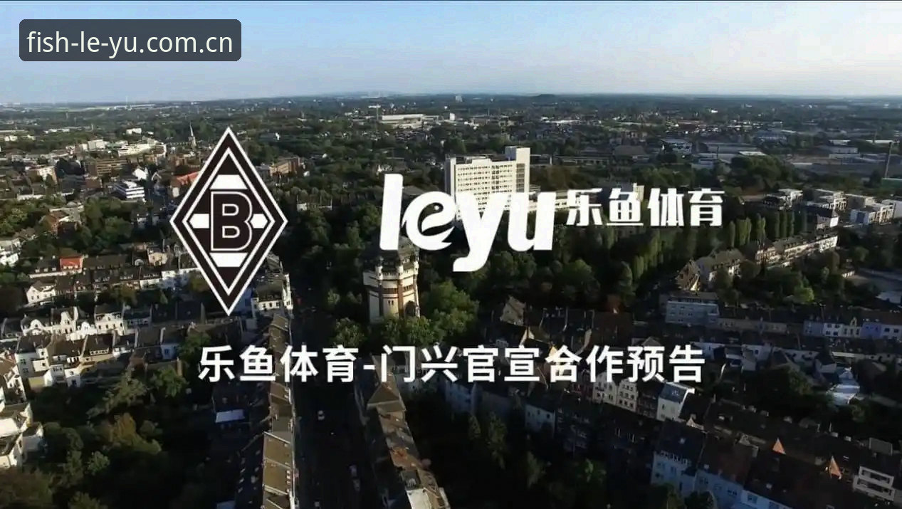 leyu乐鱼体育安装实用指南：2024最新版下载与性能深度评测